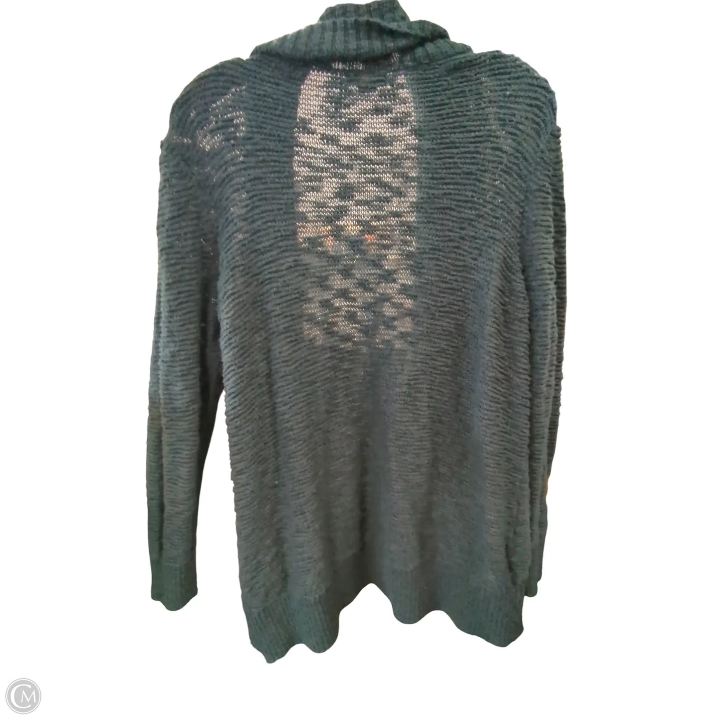 Sweater Cardigan By Eddie Bauer In Green, Size: 2x