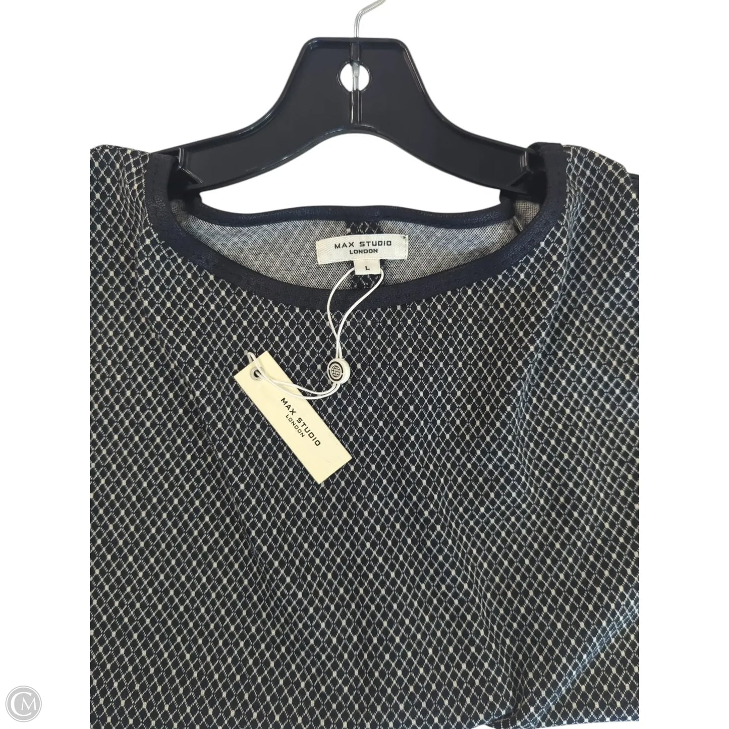 Top Sleeveless By Max Studio In Blue & Cream, Size: L