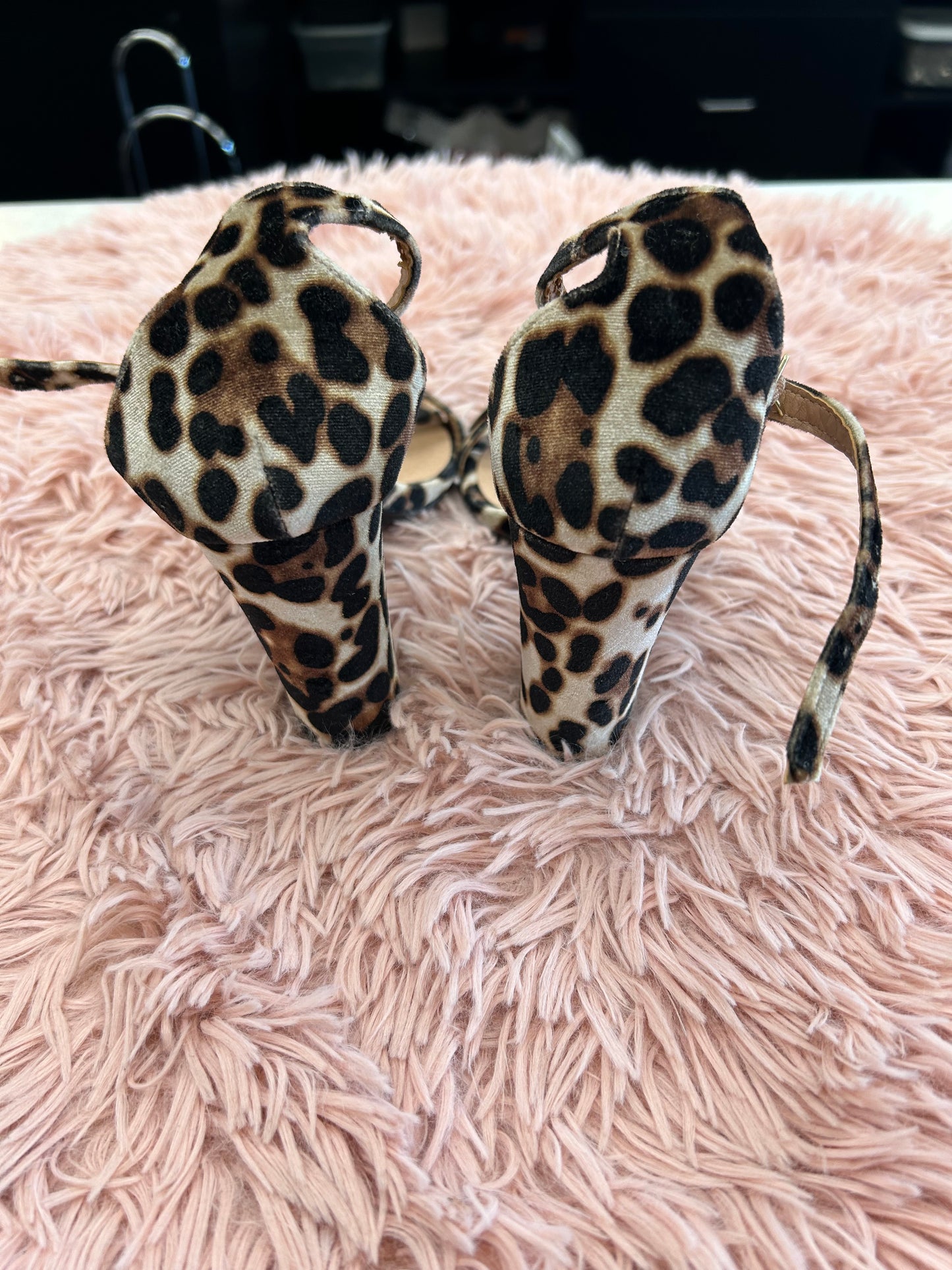 Shoes Heels Block By Madden Girl In Animal Print, Size: 6