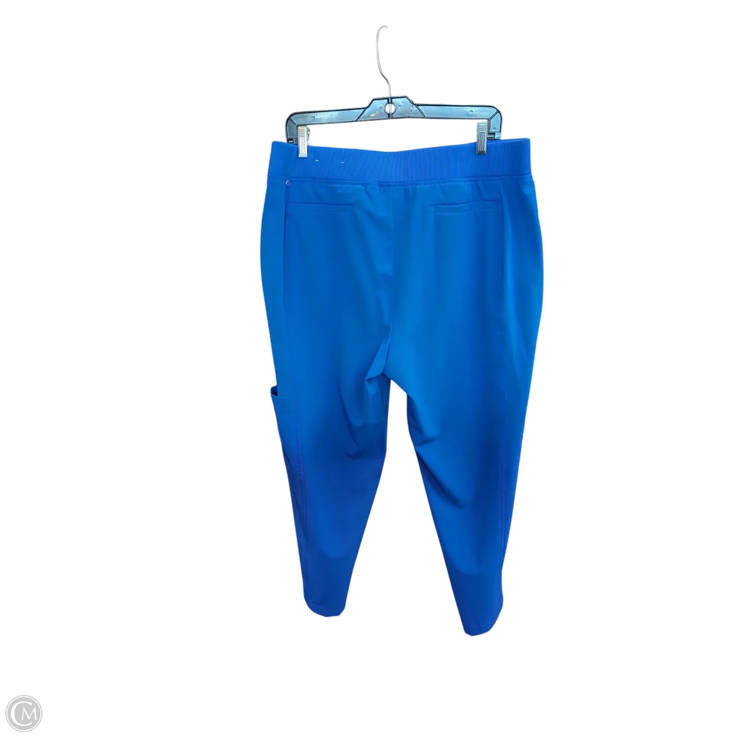 Athletic Pants By Zenergy By Chicos In Blue, Size: L